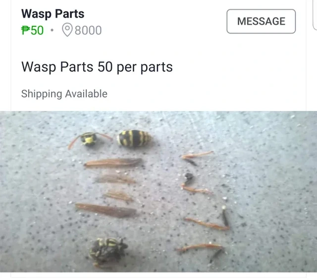 shipping available