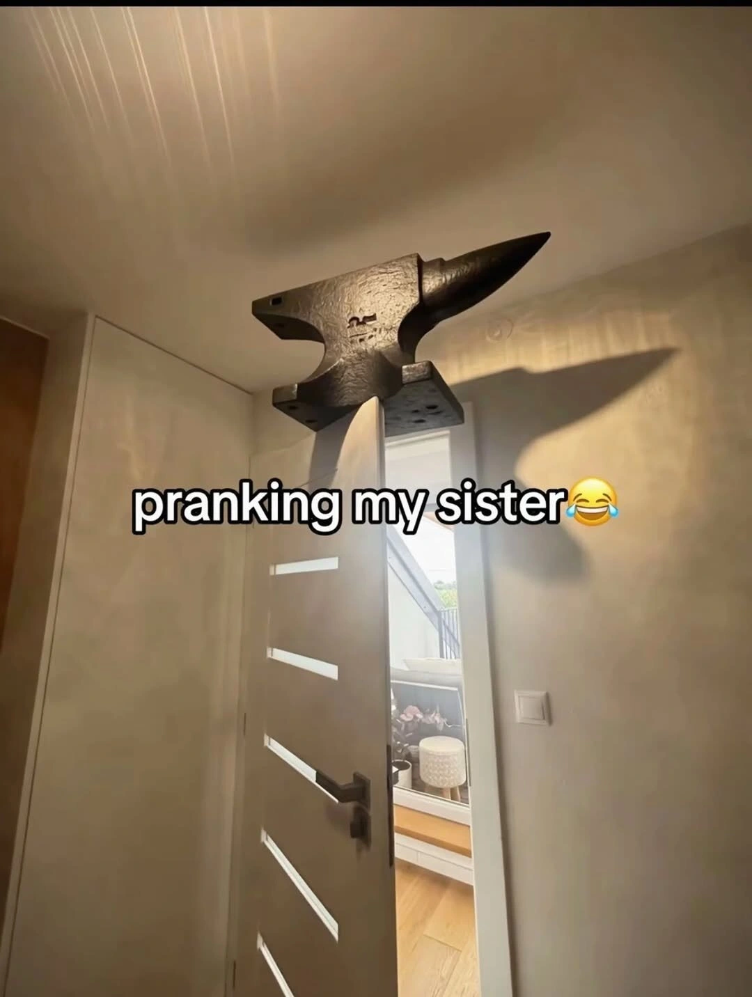 Lol she's gonna die laughing