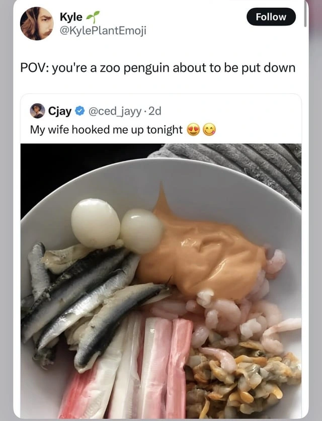 A screenshot of a post where user Cjay tags a picture of a seafood bowl with: My wife hooked me up tonight. The comment is Kyle saying: POV: you're a zoo penguin about to be put down.