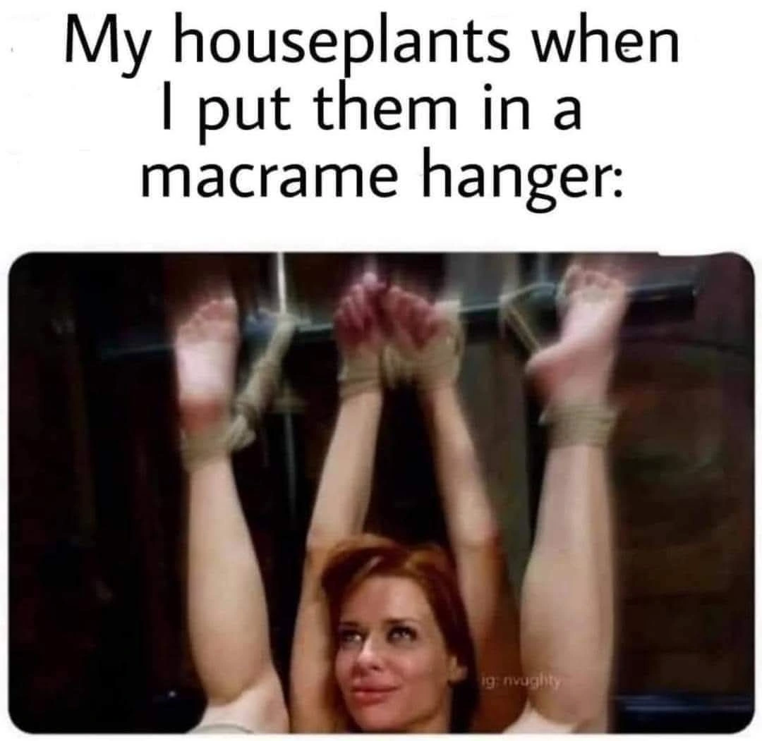 Hanging plants