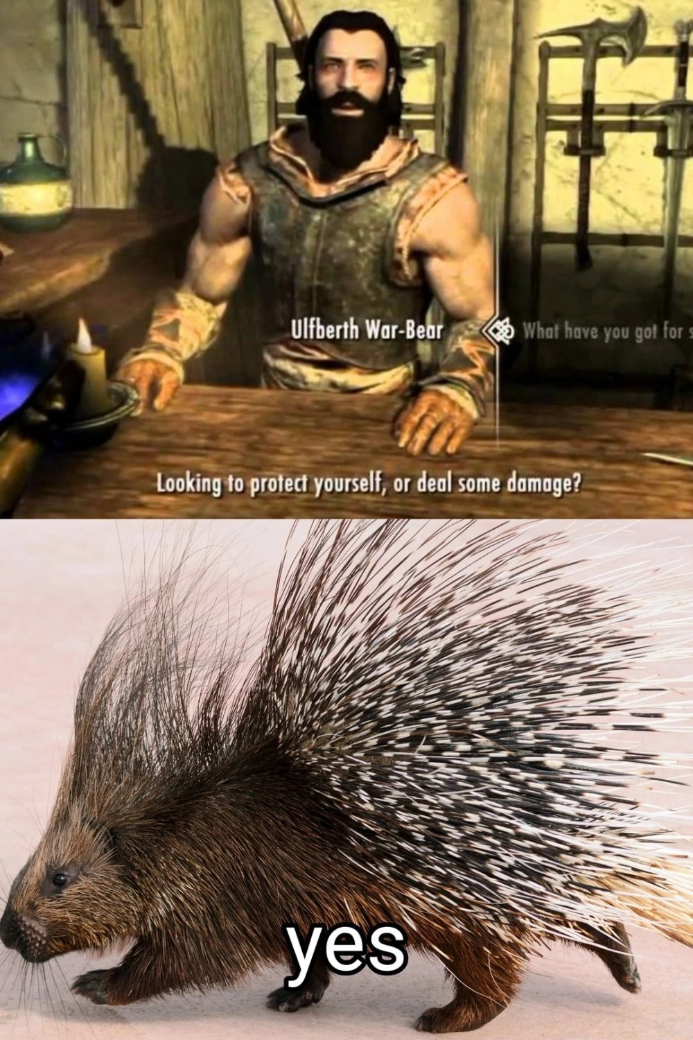 I like Skyrim, and porcupines