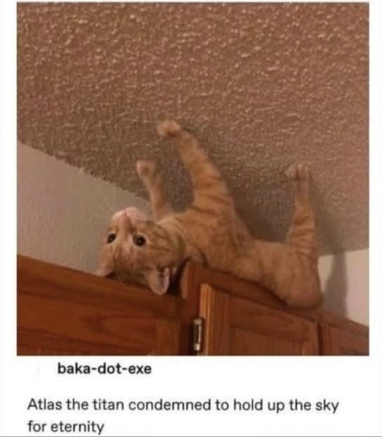 Or for as long as he feels like it