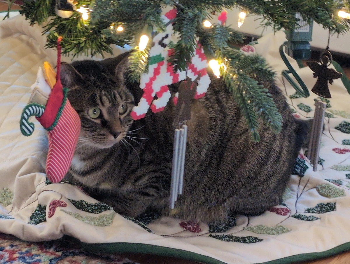 Emma is an ornament