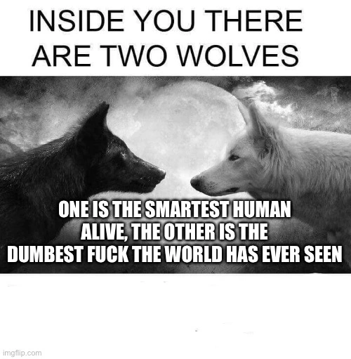 I think this about sums it up