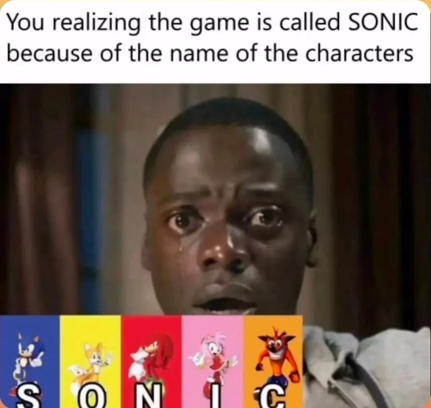 "You realizing the game is called SONIC because of the name off the characters" Shocked person looking at viewer. S-Sonic, O-Tails, N-Knuckles, I-Amy, C-Crash