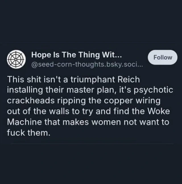 Screenshot where user Hope is the Thing Wit... says: "This shit isn't a triumphant Reich installing their master plan, it's psychotic crackheads ripping the copper wiring out of the walls to try and find the Woke Machine that makes women not want to fuck them."