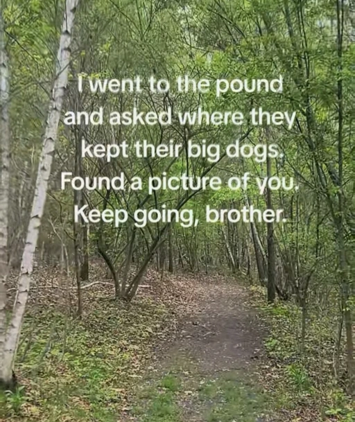 Keep going sibling