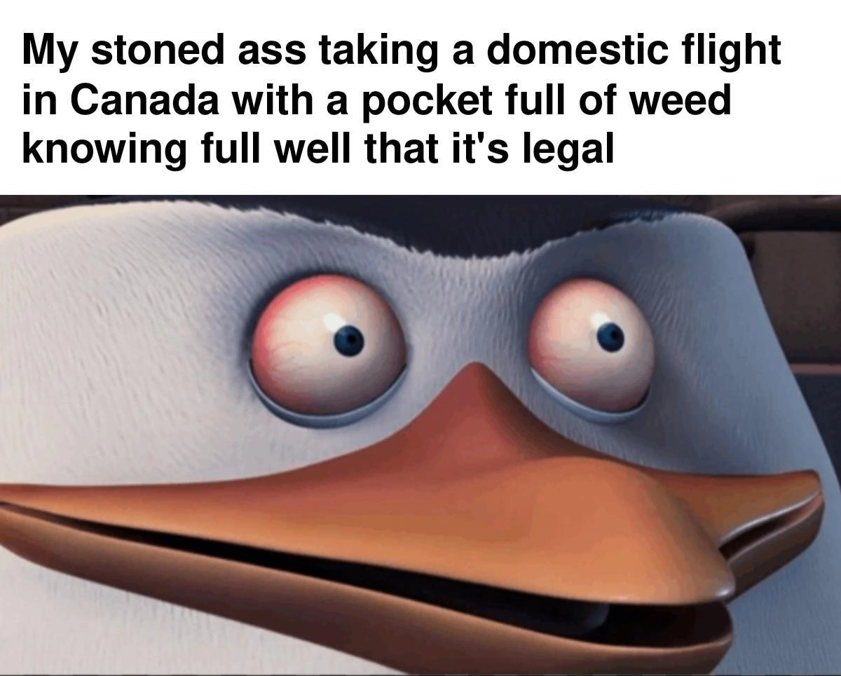 It's been almost a decade and it still feels like I'm committing a crime