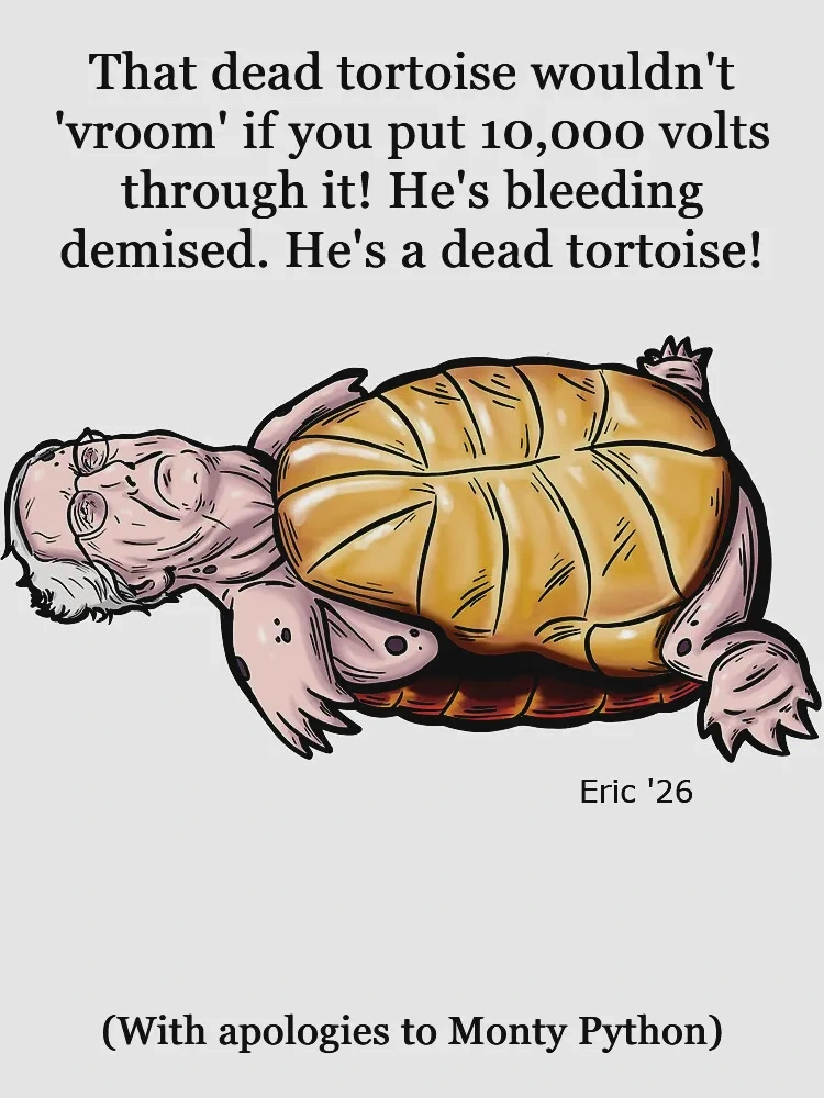 Dead Tortoise