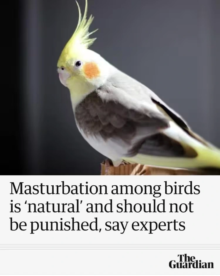 Fuck yeah