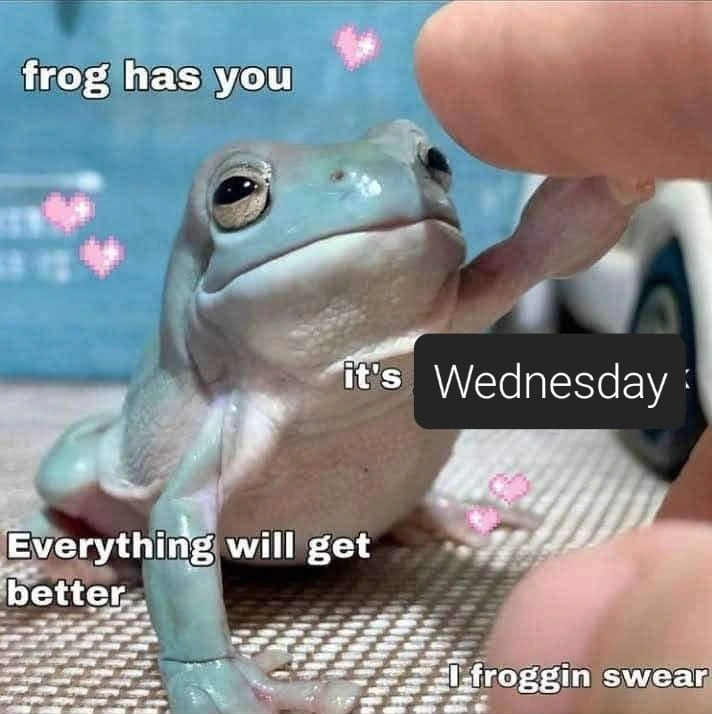 It is wednesday my dudes