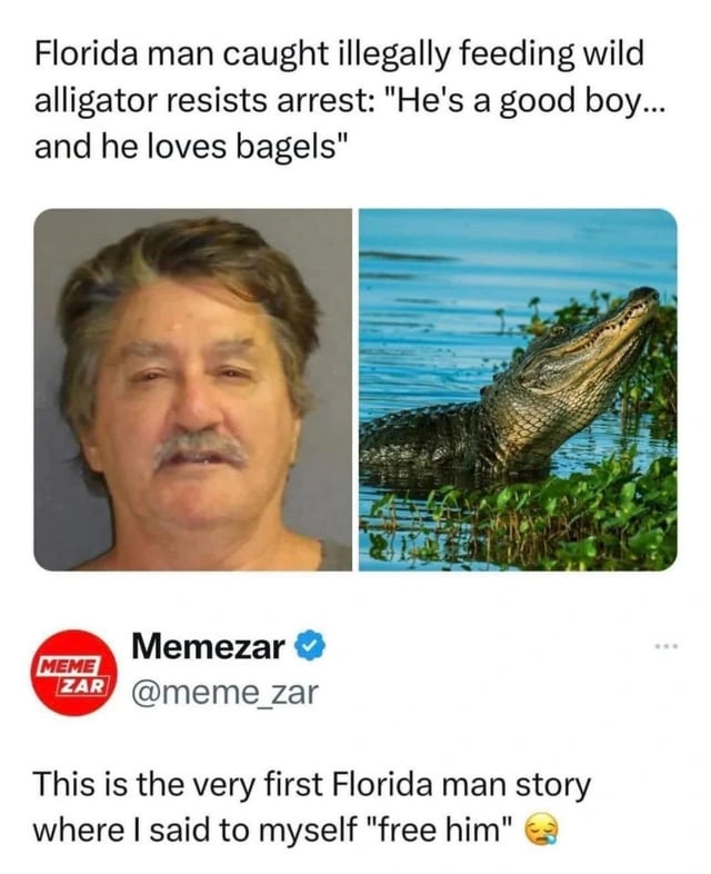 Headline reads: "Florida man caught illegally feeding wild alligator resists arrest: "He's a good boy... and he loves bagels."" to which a commenter responds "This is the very first Florida man story where I said to myself "free him.""