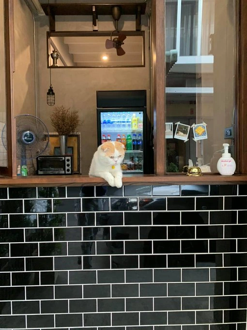 She will take your order meow