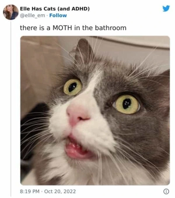 M Ö T H