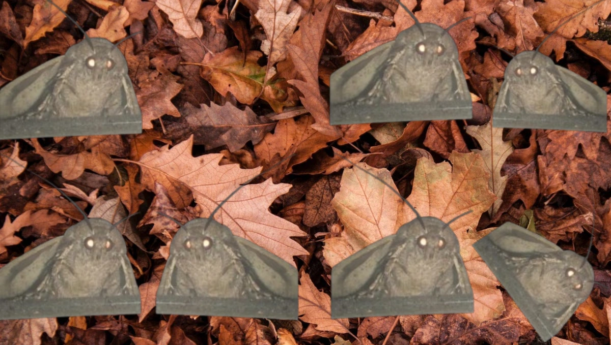 moths on a leafy background