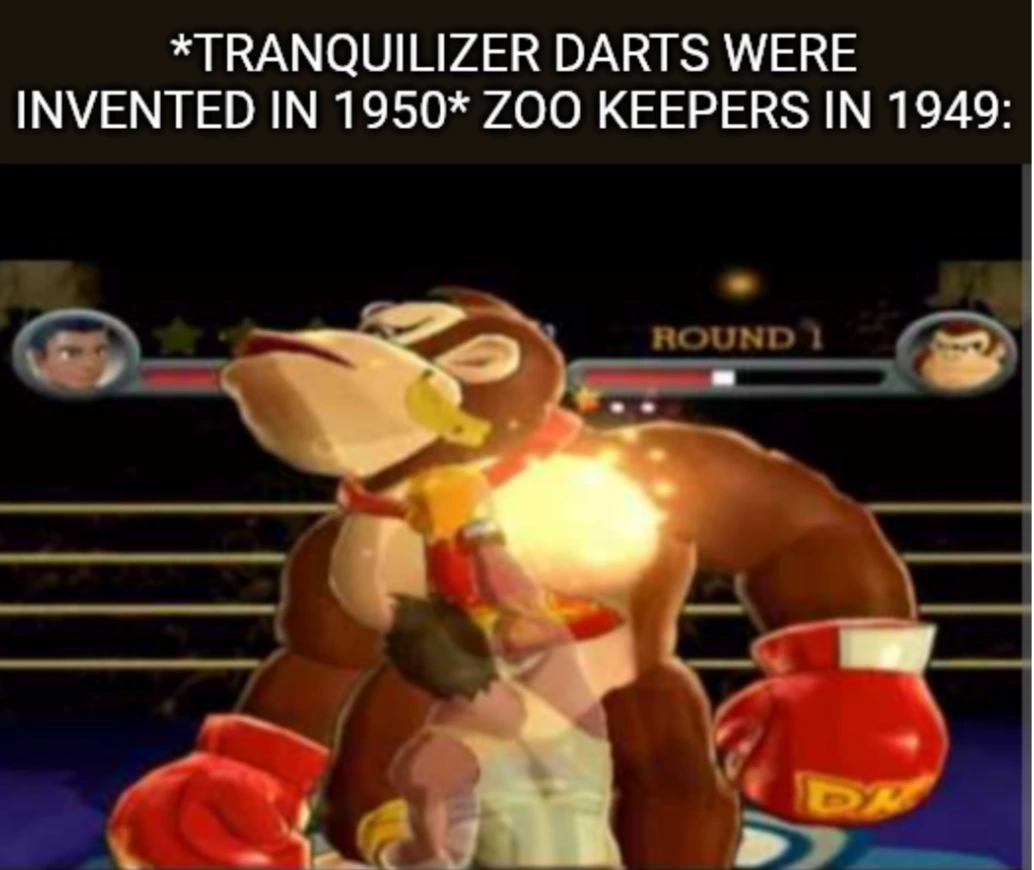 Tranquilizer darts were invented in 1950, Zoo keepers in 1949: